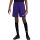 7. Nike Dry Park III NB K Jr BV6865 547 Shorts