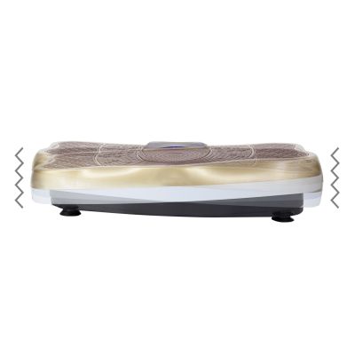 7. SVP03 GOLD Vibration Platform HMS