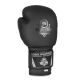 7. 10oz Boxing Gloves - Black Master - Valor Series