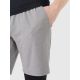 4. Men's quick-drying training shorts 4F 4FWSS26TFSHM1277-25M