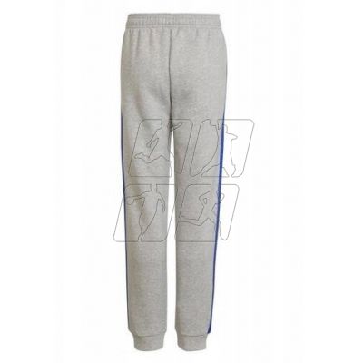 5. Adidas Trainings Jr HN6712 pants