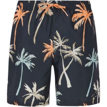 PROTEST PRTHear Men's Beach Shorts, Grey