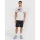 3. Men's regular printed T-shirt 4F 4FRSS25TTSHM2980-27M