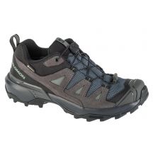 Salomon X Ultra 360 LTR GTX W shoes 475716