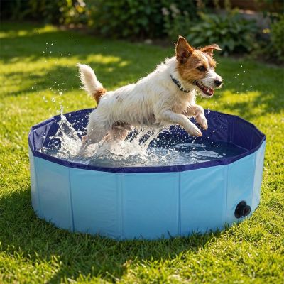 18. FOLDABLE GARDEN POOL FOR DOGS 80X30CM BLUE MAXXPRO