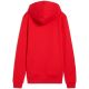 9. Puma Team Goal Casuals Hoody W 658621 01