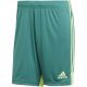 6. adidas M Tastigo 19 Shorts DP3251