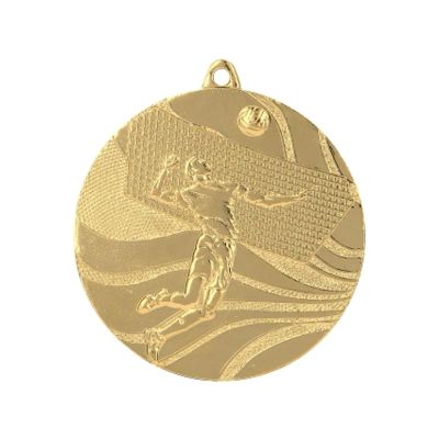 8. gold medal - volleyball