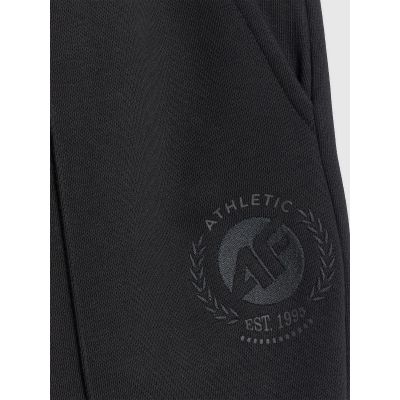 5. Men's jogger sweatpants 4F 4FRAW25TTROM1671-20S