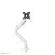 2. Neomounts DS70-250WH1 Monitor Holder/Stand 88.9 cm (35") Desk White