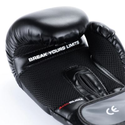 17. 10oz Boxing Gloves - Eclipse - Origin Series