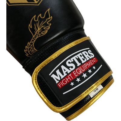 8. RBT-DRAGON Boxing Gloves 12 oz