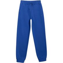 Trousers 4F CAS M1245 Jr 4FJWAW25TTROM1245 36S