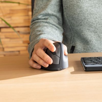19. Ergonomic mouse R-Go Maus HE ergonomisch rechts Bluetooth mittel schwarz/sil retail