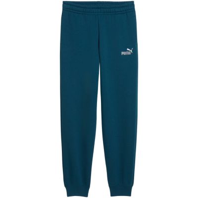 2. Puma ESS 2 Color No. 1 Logo Turquoise Kids' Pants 685824 36
