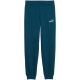 2. Puma ESS 2 Color No. 1 Logo Turquoise Kids' Pants 685824 36