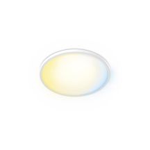 Philips Valen 32W Ceiling Lamp