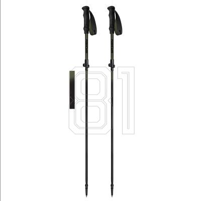 Spokey Terra SPK-944825 Trekking Poles