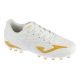 Joma Evolution Jr 2602 AG EVJS2602AG White 32