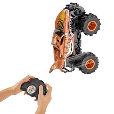 6. Hot Wheels Monster Trucks HNV03 toy car