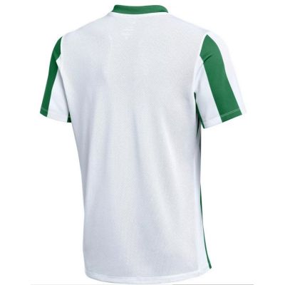 2. Nike Dri-FIT Stripped Division V Jr. Jersey FZ9341-103