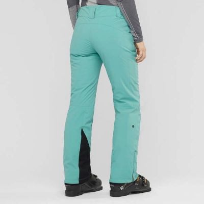 4. Salomon THE BRILLIANT Snowboard Pants W LC13940 00