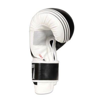 7. 10oz Boxing Gloves - Edge - Valor Series