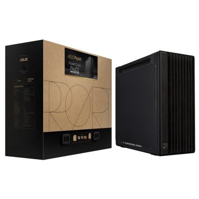 18. Asus PROART PA602 WOOD METAL PWM BLACK case