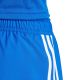12. adidas Tastigo 25 M JN7159 shorts