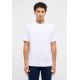 Mustang Men's T-Shirt AUSTIN 1017643 2007