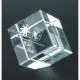 8. Engraved glass trophy with case
