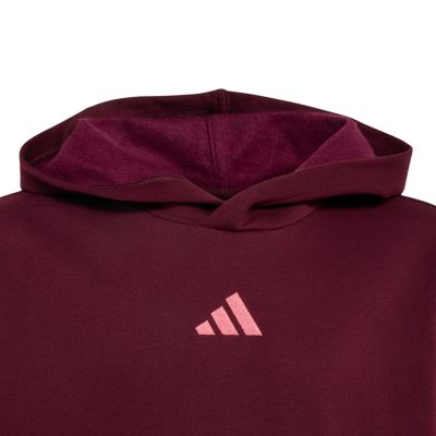 3. adidas Essentials Hoodie for kids, burgundy KT3380