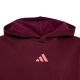 3. adidas Essentials Hoodie for kids, burgundy KT3380