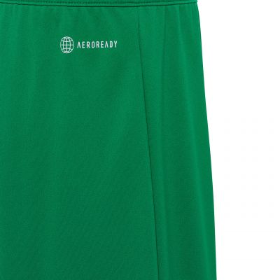 4. adidas Entrada 22 Jr IC7410 Shorts