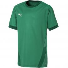 Puma teamGOAL 23 Jersey Jr T-shirt 704160 05