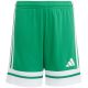 17. adidas Squadra 25 Jr JN7484 Shorts