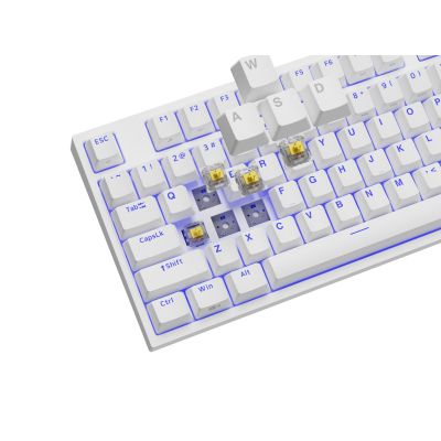 8. GENESIS Thor 404 TKL Keyboard Gaming USB QWERTY American International White