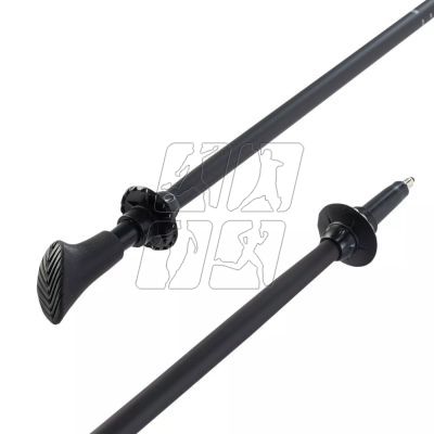 3. Nordic Walking poles Elbrus Blasimon 92800404936