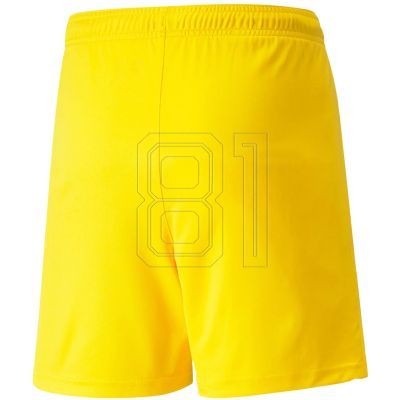 3. Puma teamLIGA Shorts Jr 704931 07