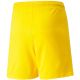 3. Puma teamLIGA Shorts Jr 704931 07