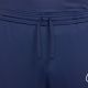 6. Nike Dri-Fit Academy 25 M FZ9805 410 Pants