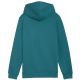 2. Puma ESS No. 1 Logo Hoodie for Kids Green 684909 41
