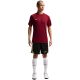 14. Nike Dri-Fit Park VIII Men's T-Shirt Burgundy HV8173 677