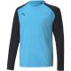 3. Puma teamPacer GK LS Jersey Jr 704939 40