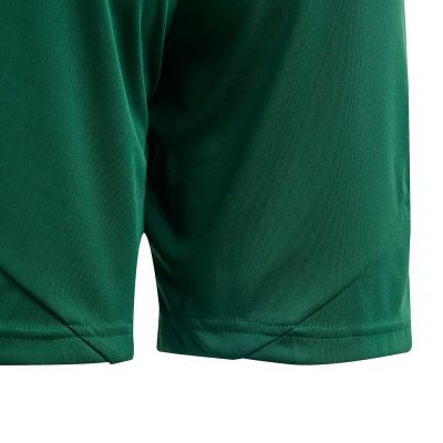 5. adidas Tiro 24 Jr IT2409 Shorts