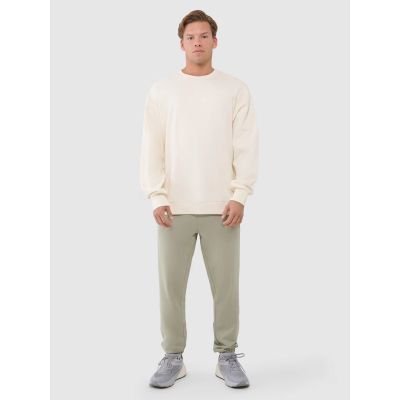 5. Men's oversize sweatshirt without zipper, without hood 4F 4FWSS25TSWSM1536-80S-12S