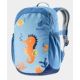 Deuter Pico Hiking Backpack Blue Polyester