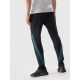 6. Trousers 4F M 4FWSS24TFTRM453-20S