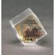 5. Glass trophy with LuxorJet color print and case