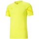 Puma teamFLASH men's t-shirt yellow 704394 23